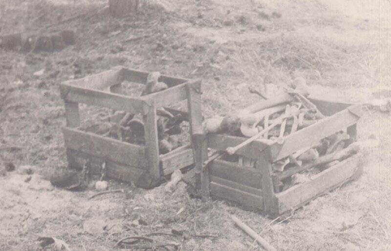 Фотография видовая. Ящики с останками репрессированных, расстрелянных в Барнаульской тюрьме.