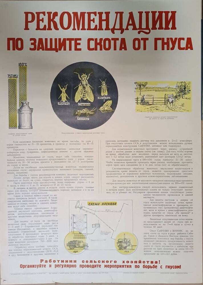 Плакат. Реконендации по защите скота от гнуса