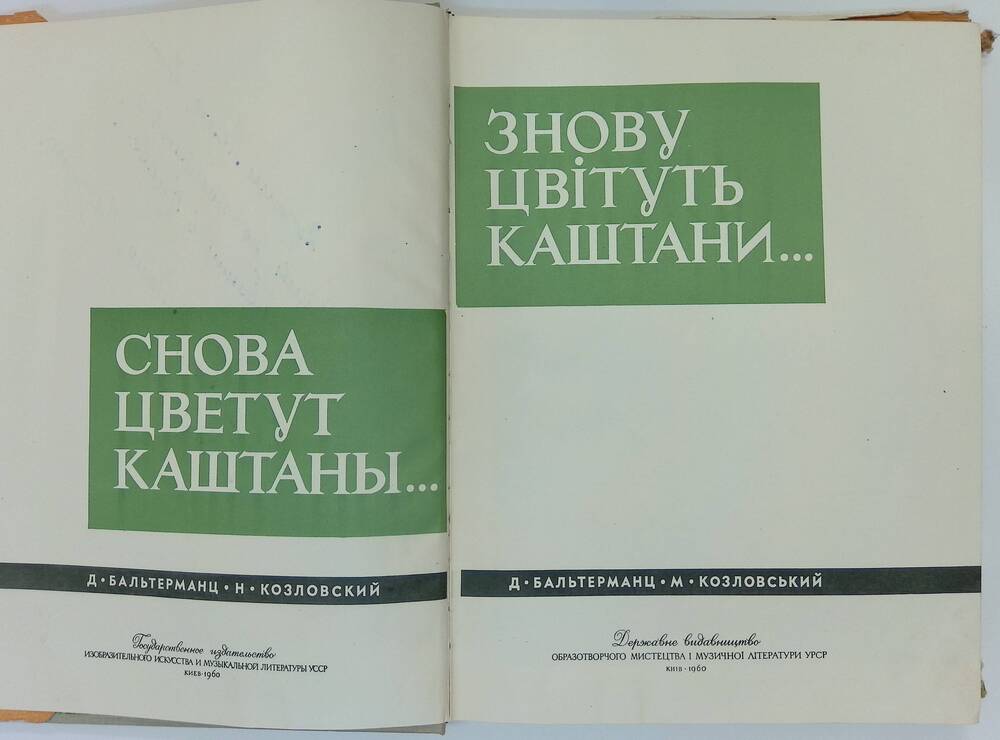 Книга. Знову цвiтуть каштани… Снова цветут каштаны...