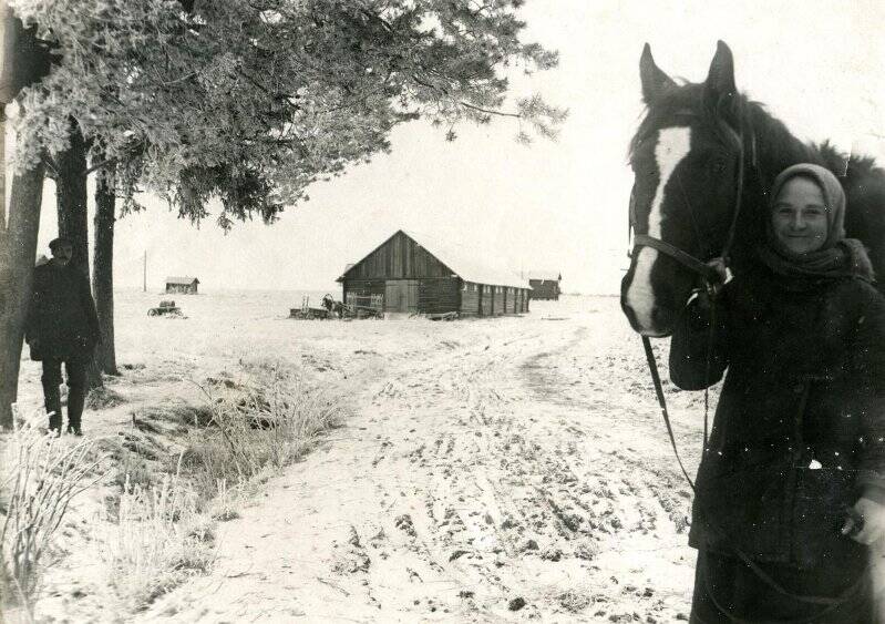 Фотография черно-белая. Вид на скотный двор колхоза Знамя труда