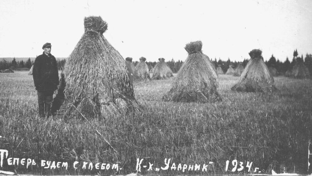 Фото: Колхоз «Ударник». Суслоны, 1934 г.