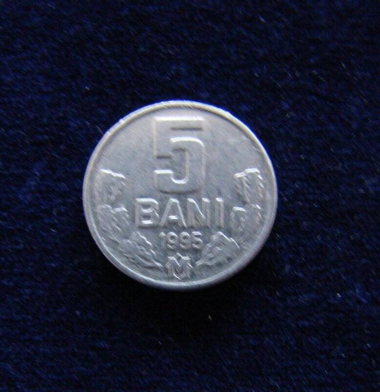 Монета Молдавия 5 bani