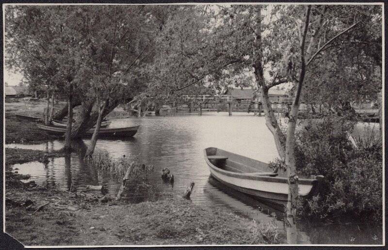 Фотография видовая. Вид на «живой» мостик на реке Трубеж