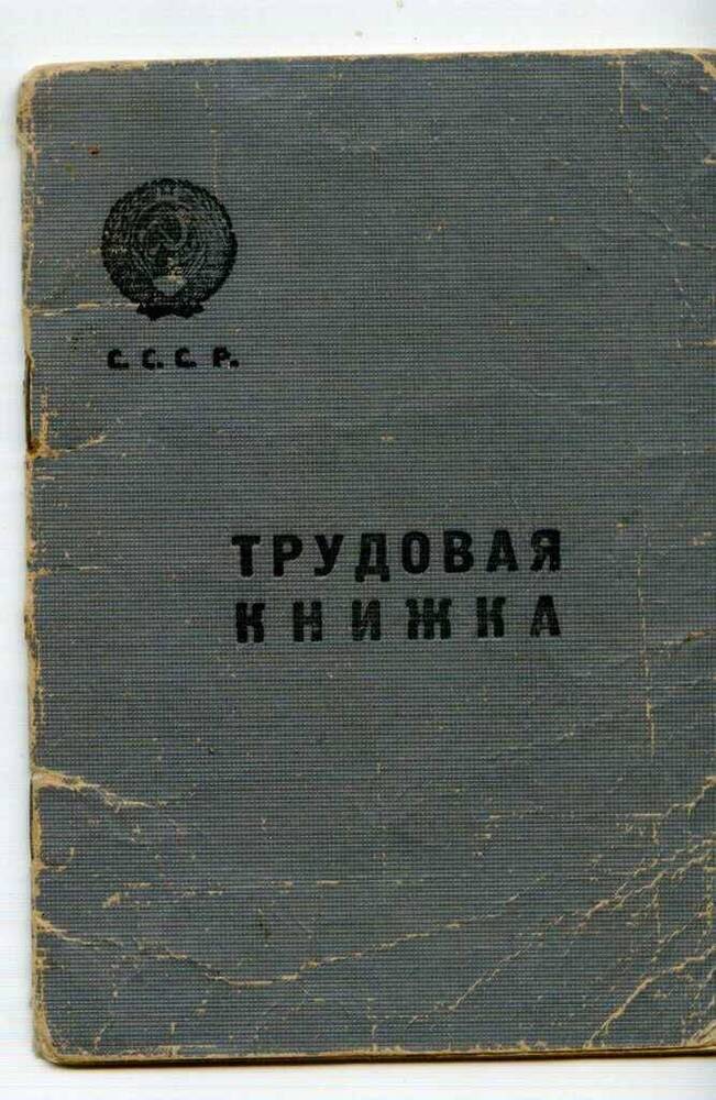 Трудовая книжка Долгова Я.В.