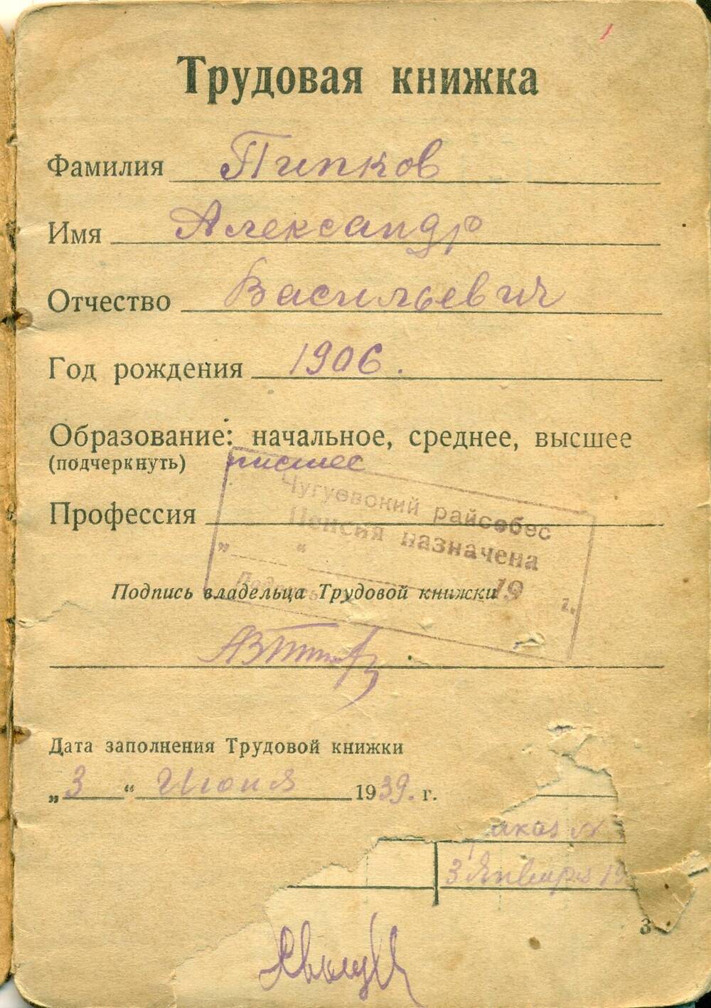 Трудовая книжка Пипкова А.В.