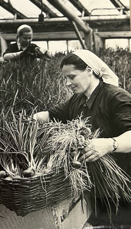 Фотоальбом «Карпинск – город угольщиков». Часть 1. Фотография № 137, страница 37