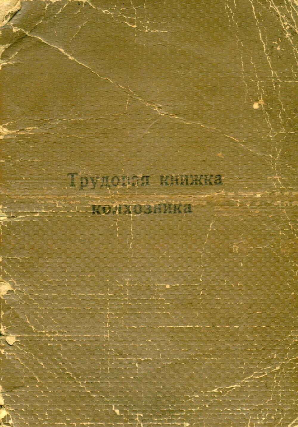 Трудовая книжка колхозника №24 Дацик П.И.,1963 г.