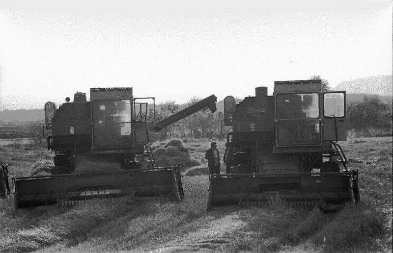 Негативы. Фотонегатив. «Последние валки урожая 1984 г. в совхозе «Абазинский».