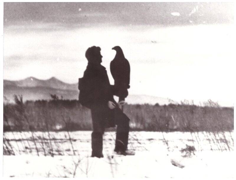 Фотография. Юрий Алексеевич Носков с беркутом Алтаем на прогулке. 1980-е гг.