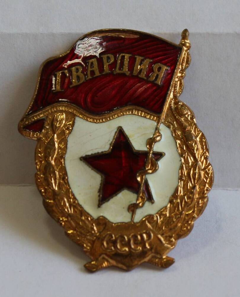 Нагрудный знак Гвардия