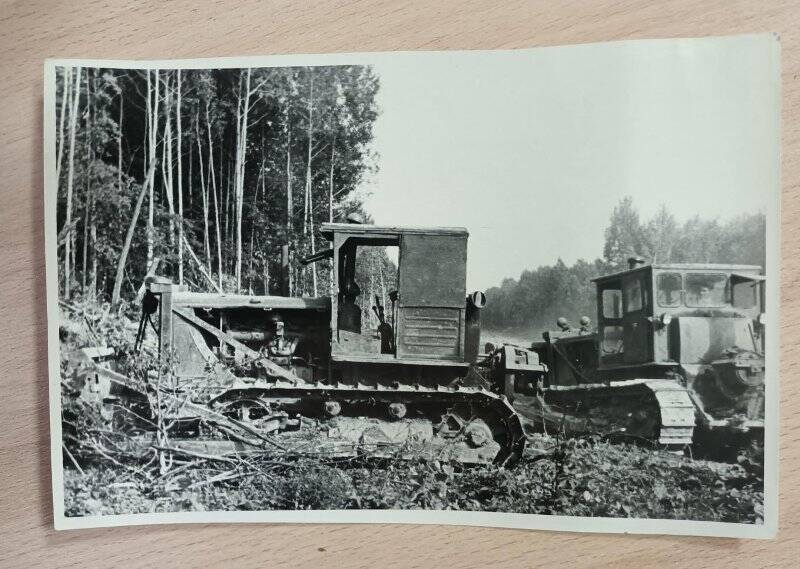 Карчевка леса на территории будущего НХК. 1961 г. Фотография