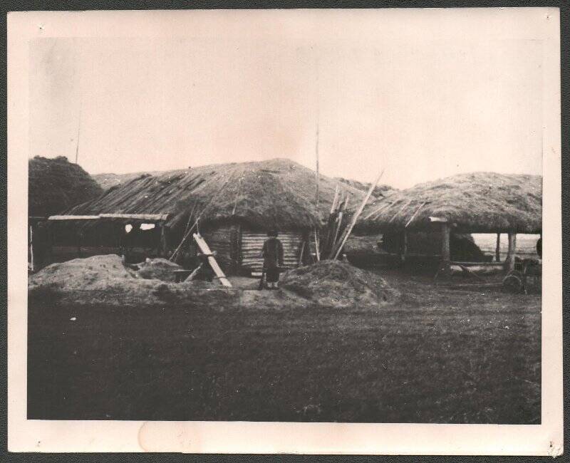 Фотокопия. Полевой стан в колхозе «Красные Починки».