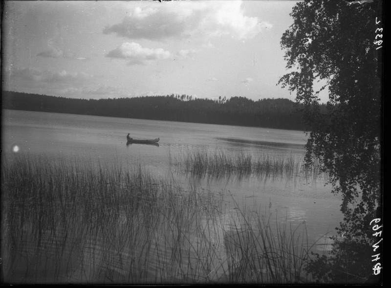 Негатив. Озеро Теренкуль.