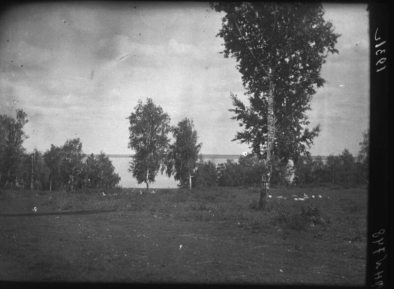 Негатив. Западный берег озера Смолино, между дачами и деревней.