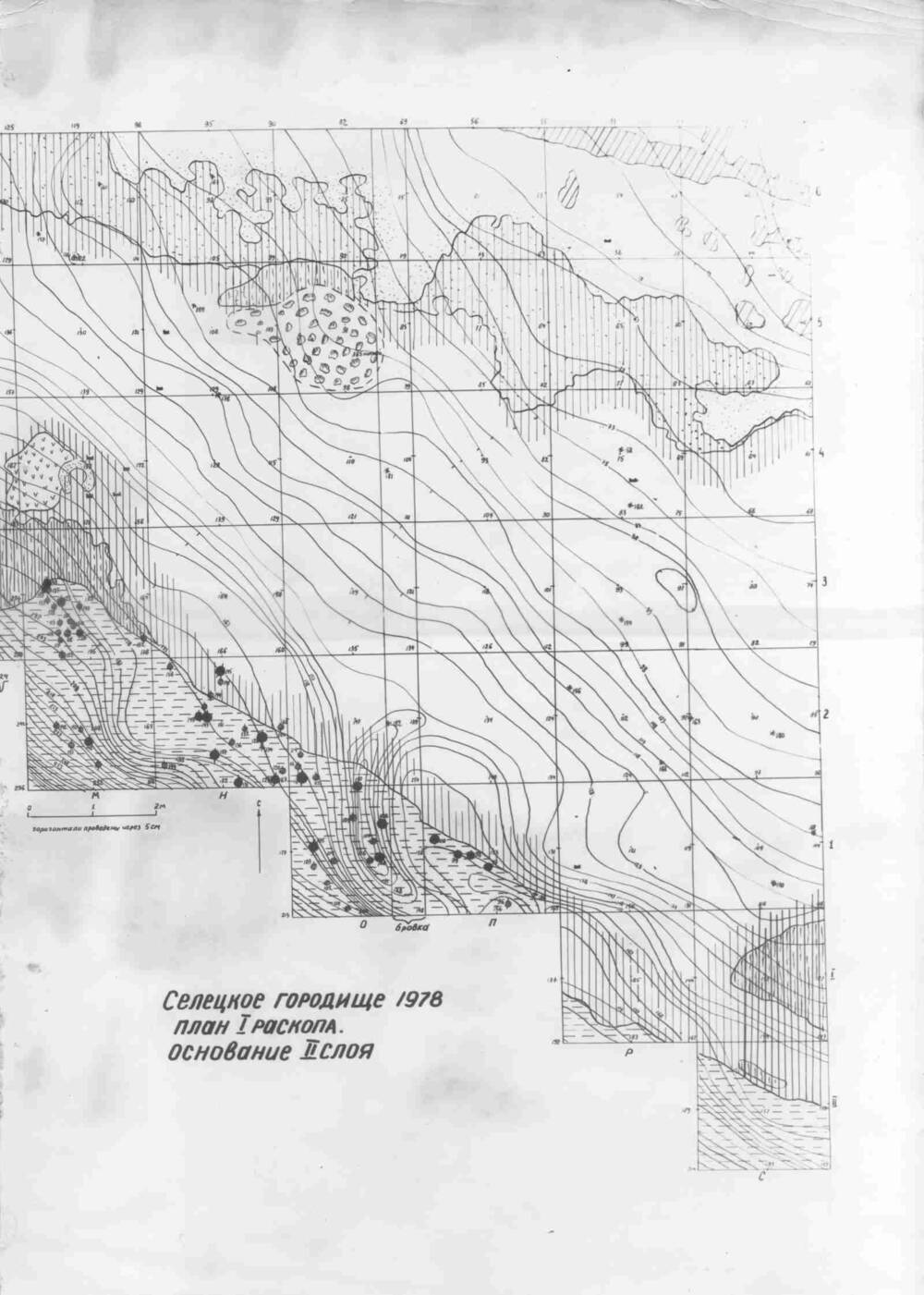 План раскопа Селецкого городища 1978г.