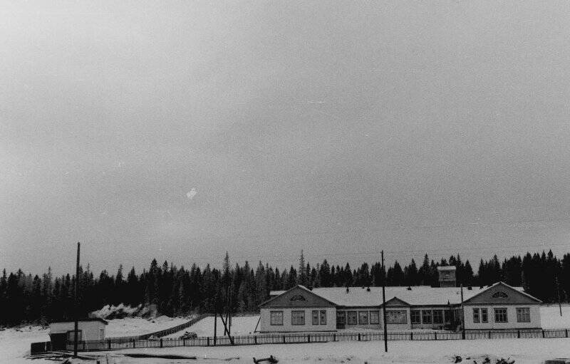 Негатив. Поселок Мирный. Ольховский ЛПХ.