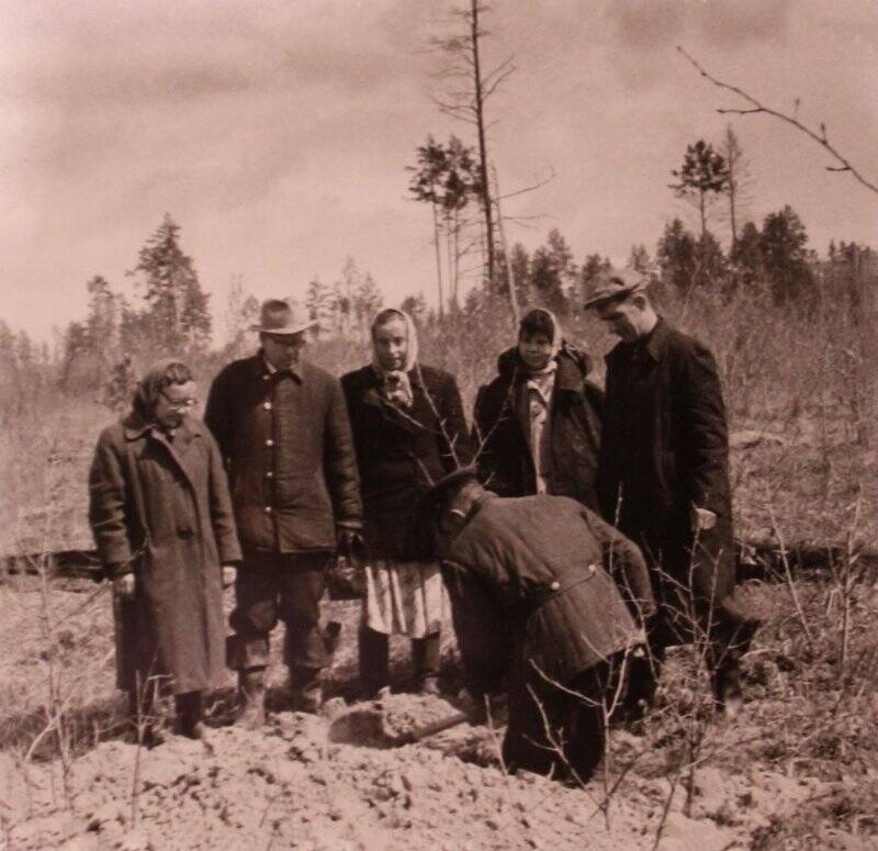 Фотография ч/б. Исследование почвы на захрущевленность. Комплект: Архив А.А. Рожкова