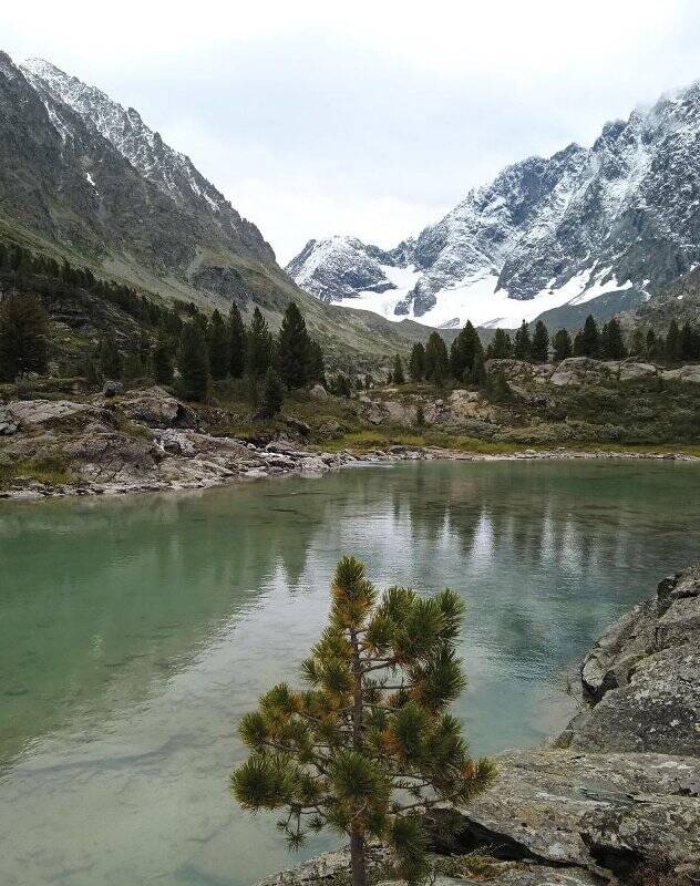 Фотография. Цветная фотография. Прозрачная вода.