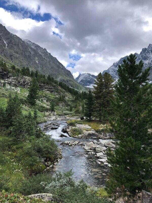 Фотография. Цветная фотография. Вид сверху на горную речку.