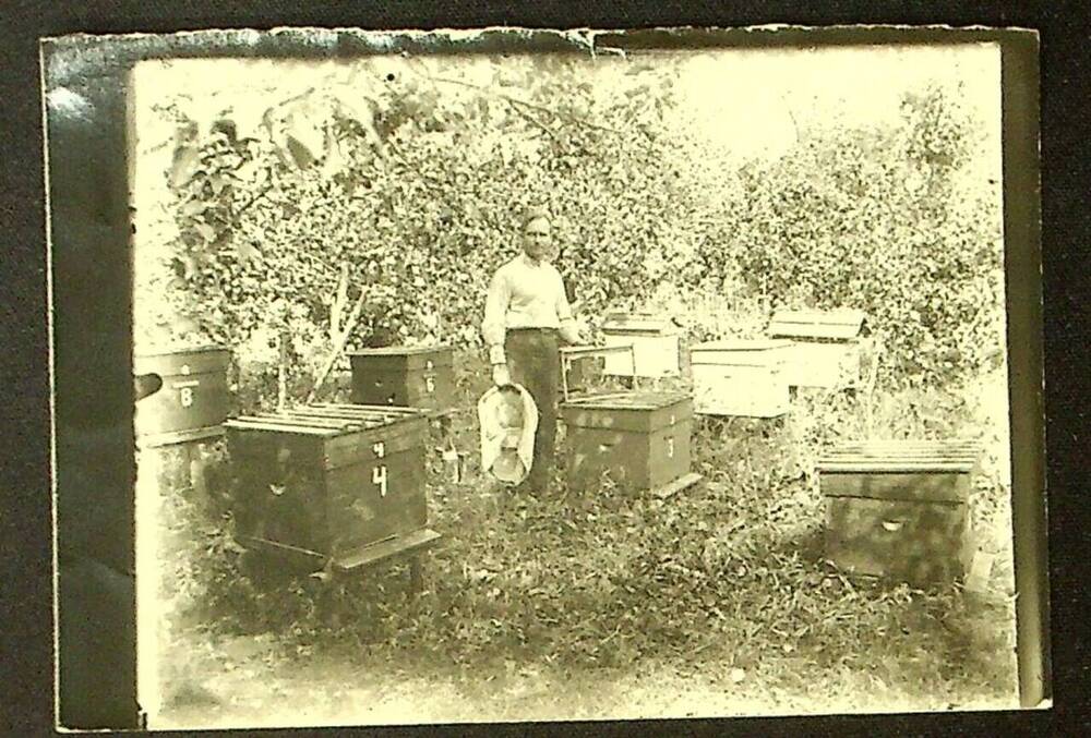 Фотография. Директор Добринской средней школы Голубых Ф.С. на школьной пасеке