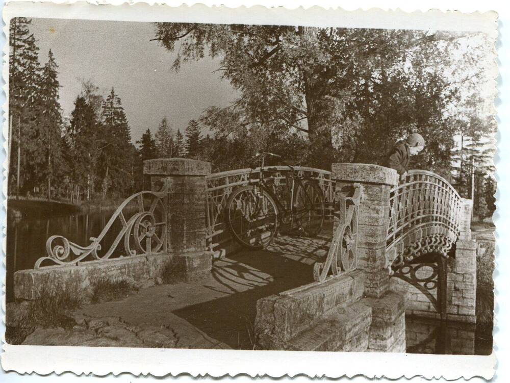 Фотография любительская  - Дворцовый парк. Мост на остров Любви