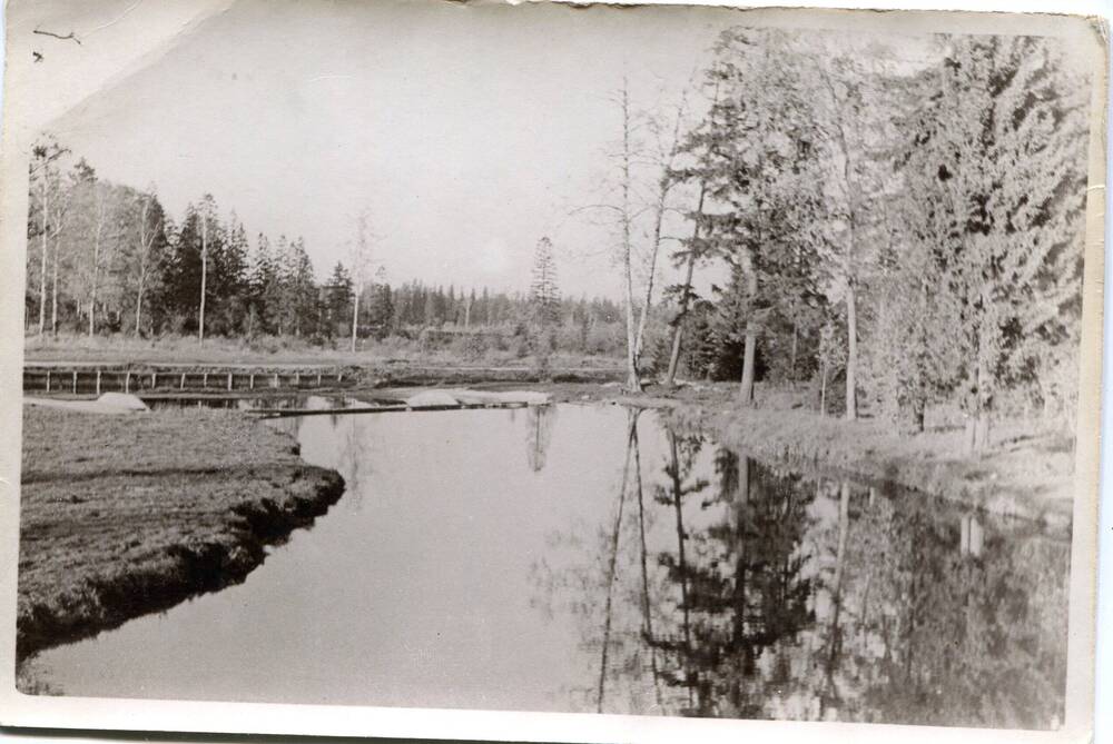 Фотография любительская  - Парк Зверинец. Речка Гатчинка у Черного моста