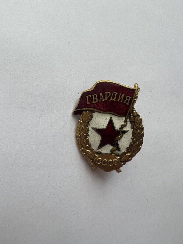 Знак нагрудный Зигаева А.И. «Гвардия».