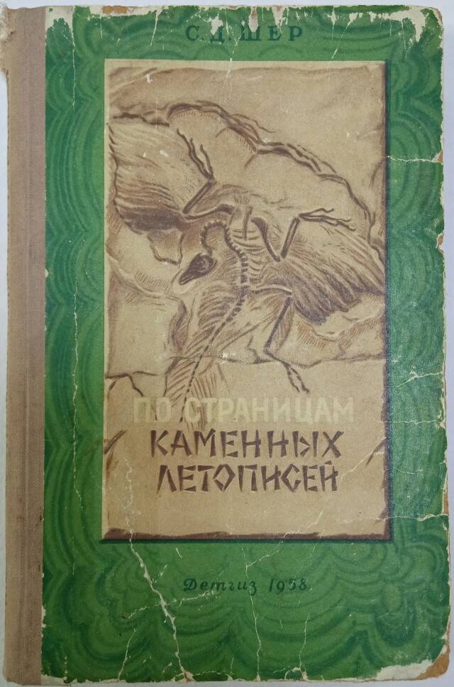 Книга По страницам каменных летописей