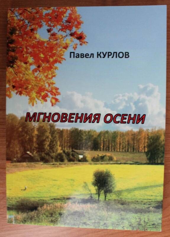 Книга. Павел Курлов. Мгновения осени