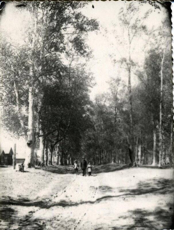 Бульвар в городе Мологе. Фотография