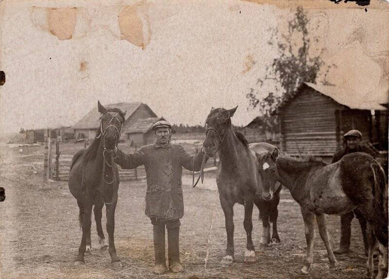 Колхозник Вязанкин с лошадьми. Фотография