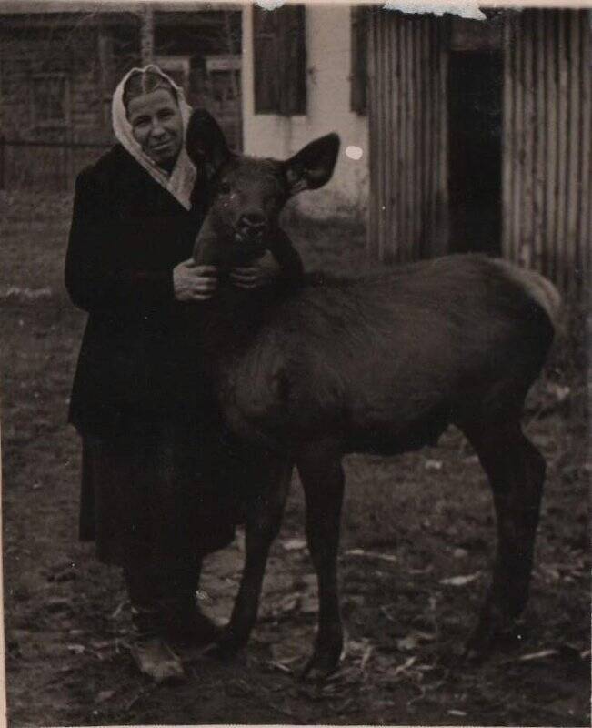 Фотография: Панова З.Е. с чучелом животного во дворе музея.