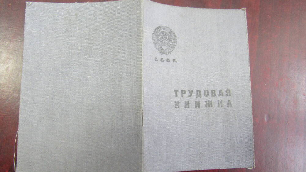 Трудовая книжка Подкаменного Никита Лукитича