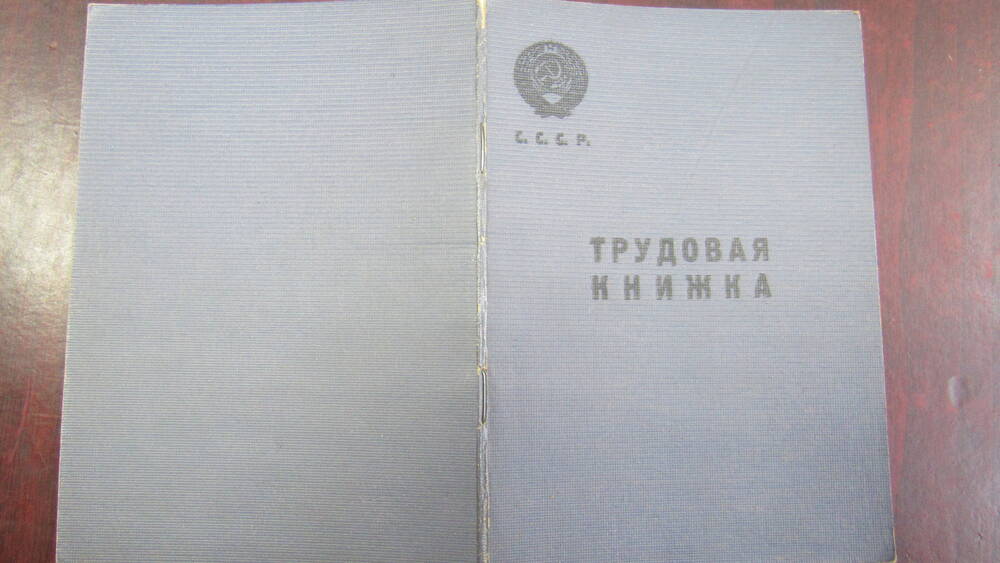 Трудовая книжка Гула Теодор Леонтьевич