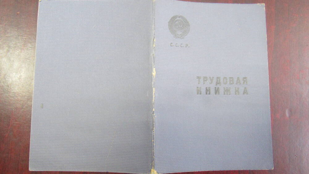 Трудовая книжка Затворный Николай Петрович