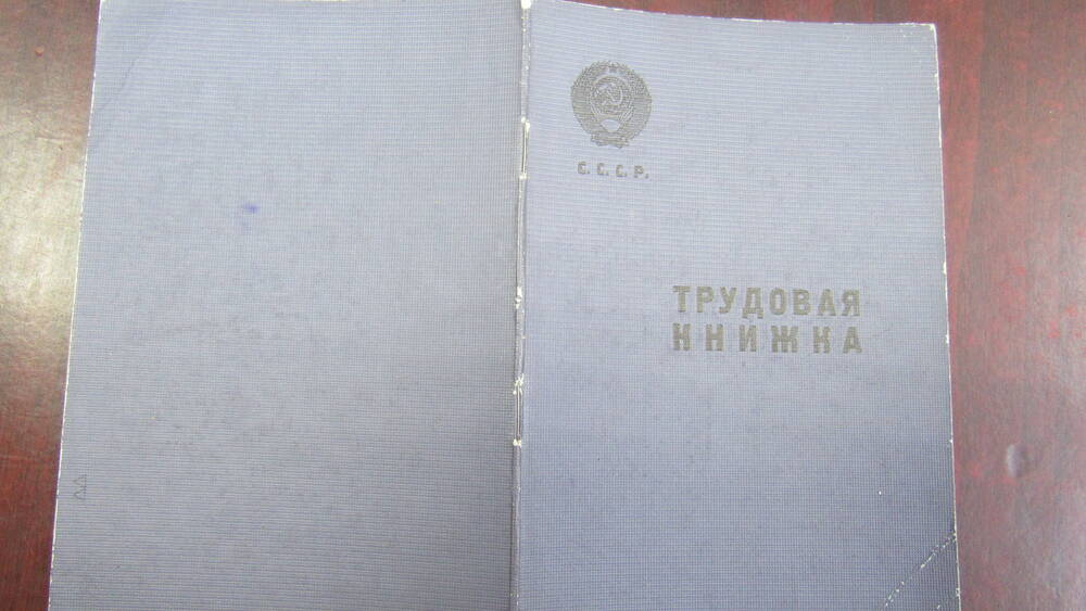 Трудовая книжка Жоганов Гаврил Васильевич