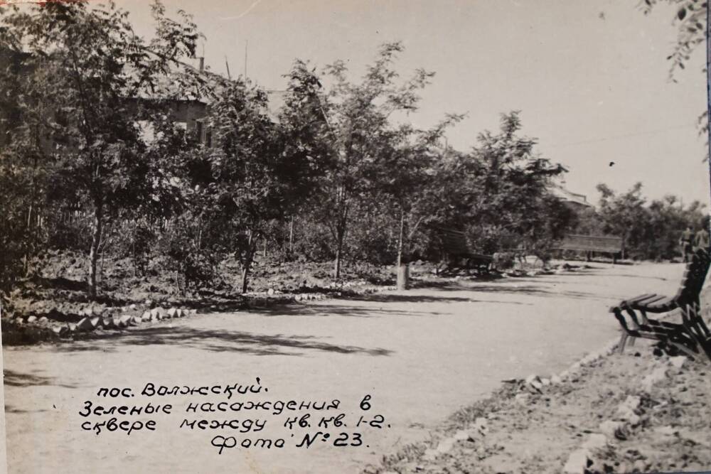 Фотография. пос. Волжский. Зеленые насаждения в сквере между кв. №1-2.