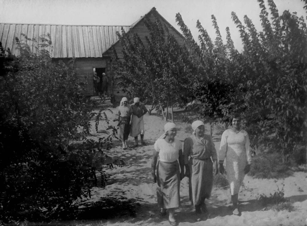 Фото Колхозницы из колхоза Красный партизан Харабалинского р-на Сталинградского края