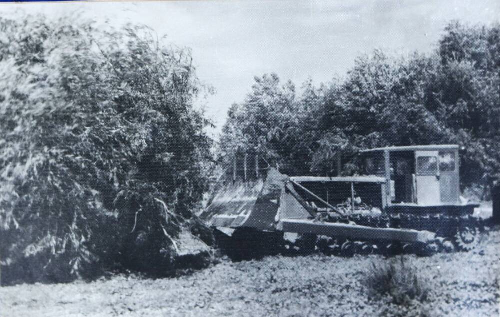 Фотография.  Валка леса бульдозером Д -275.