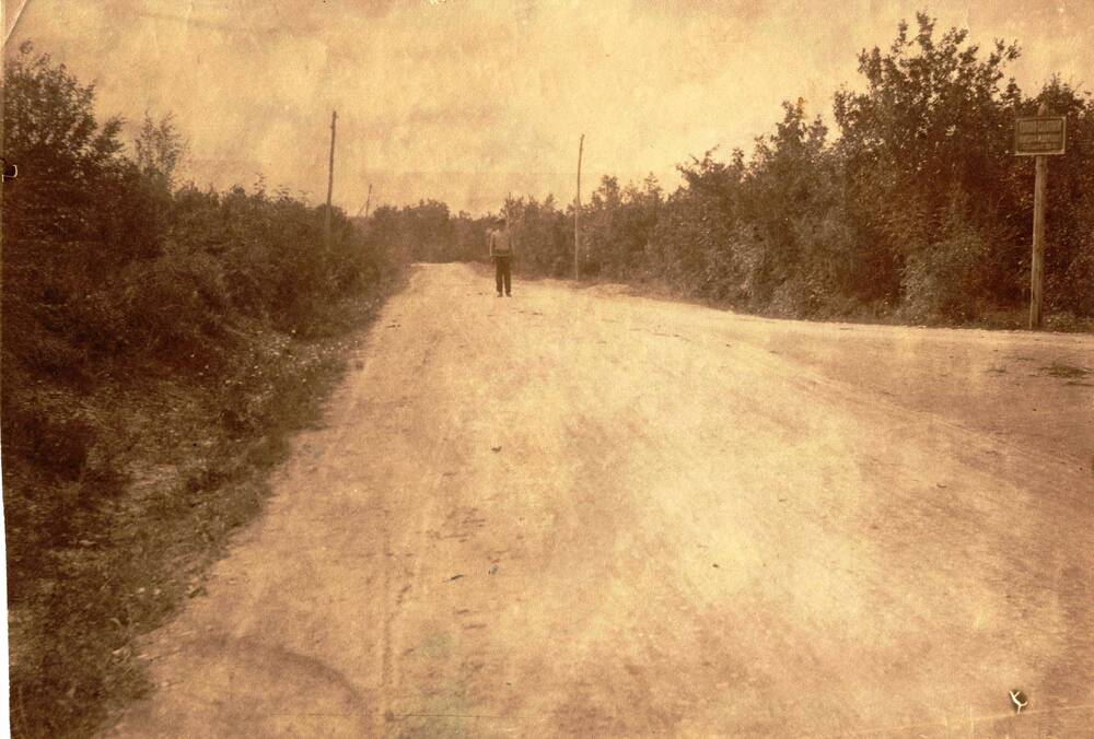 Фотография видовая   Дорога. Поворот на   детский костно-туберкулезный санатория