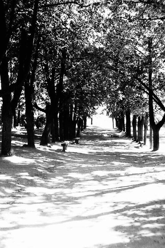 Негатив черно- белый.Городок.