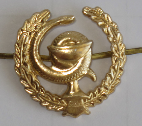 Знак петличный. Медицинская служба. Парадная серия. 1990-2000-е гг. Россия.