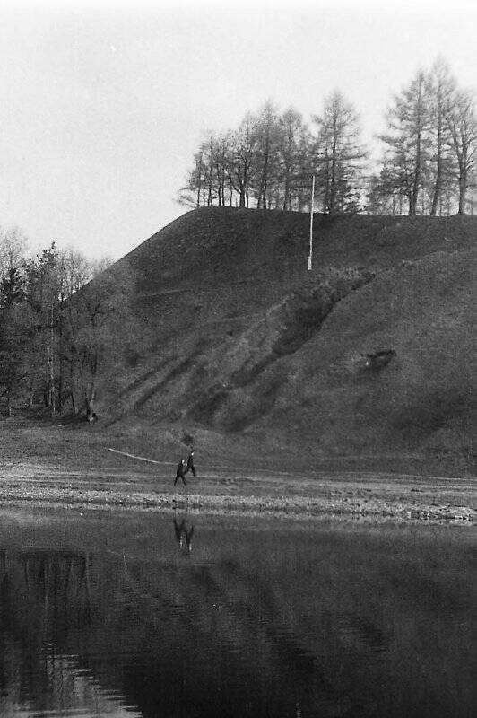 Негатив черно- белый. Городок.