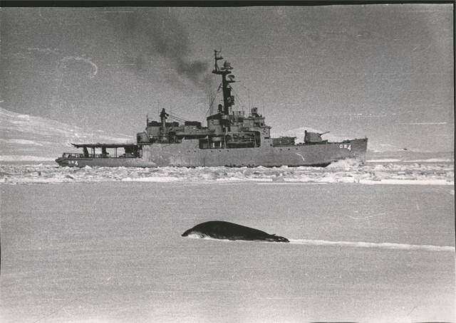 Фотография. На  антарктической базе Мак-Мердо. Военный американский ледокол в районе базы.