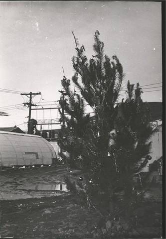 Фотография. Рождественская елка на одной из улиц американской научно-исследовательской базы Мак-Мердо.