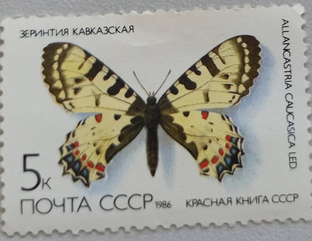 Марка ПОЧТА СССР 5 к. 1986. На марке изображена бабочка c чёрными пятнышками на желтоватом фоне
