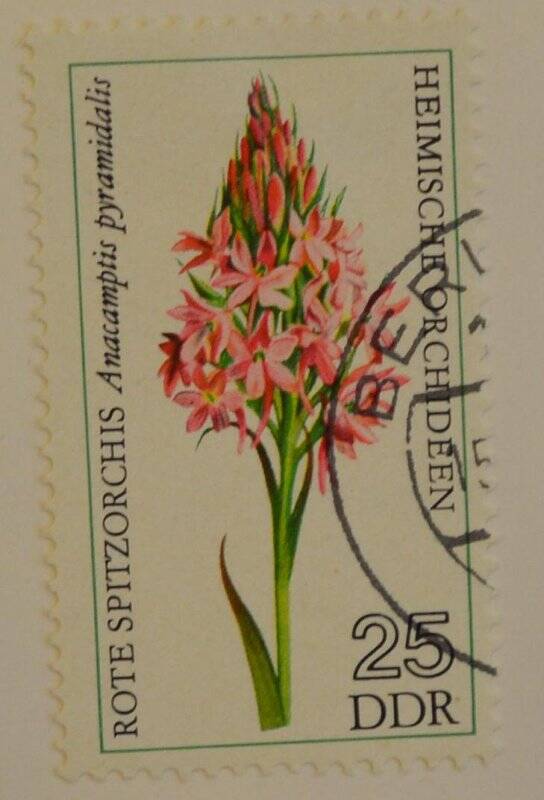 Марка почтовая. Цветок. Коллекция марок Германской Демократической республики, серия из 6-ти марок «Heimische Orchideen/Орхидеи»
