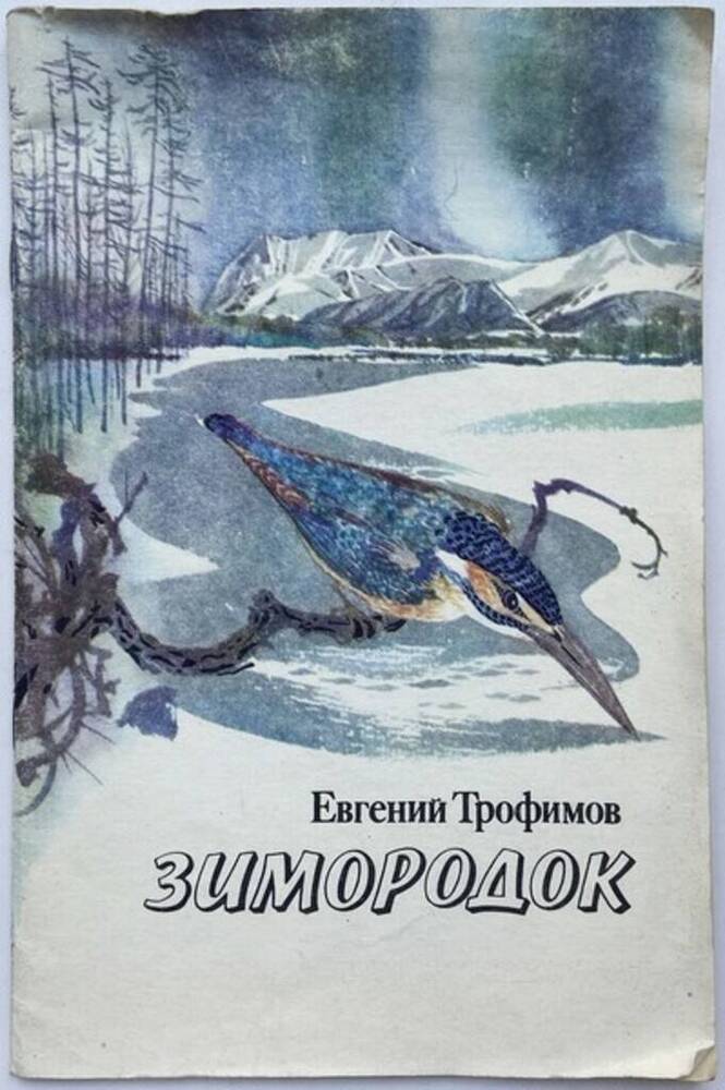 Книга. Зимородок. 48 стр.