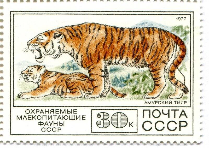 Марка. Амурский тигр с тигрёнком.