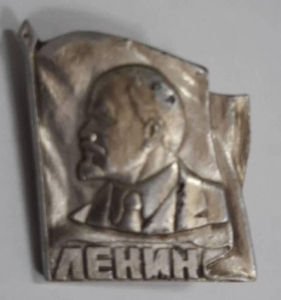 Значок В.И.Ленин серого цвета.